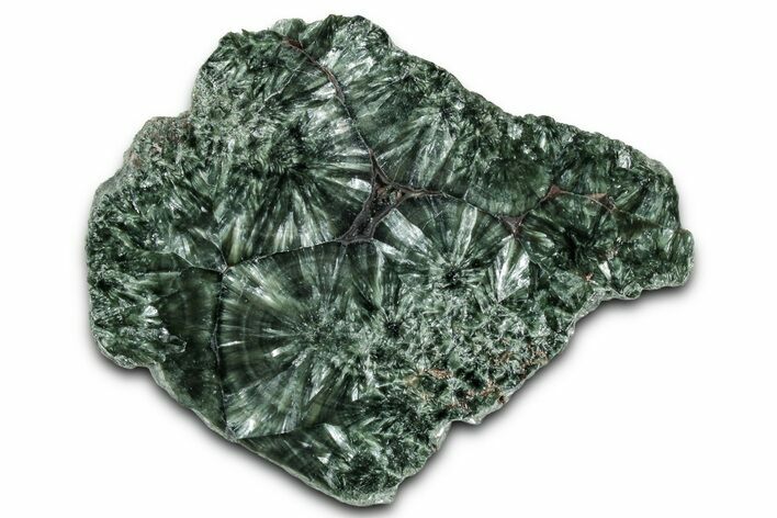 Polished Seraphinite Slab - Korshunovkiy Mine, Siberia #354253